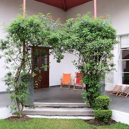 فندق Coyoacanفي  La Casa De Las Magnolias المظهر الخارجي الصورة