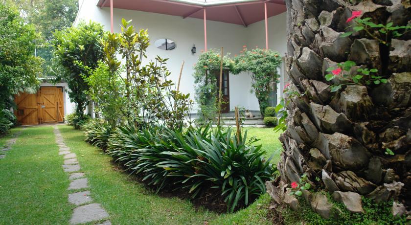 فندق Coyoacanفي  La Casa De Las Magnolias المظهر الخارجي الصورة