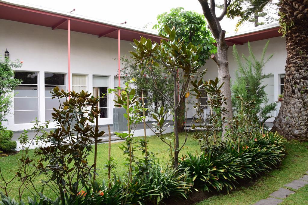 فندق Coyoacanفي  La Casa De Las Magnolias المظهر الخارجي الصورة