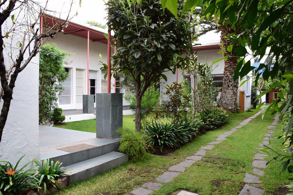 فندق Coyoacanفي  La Casa De Las Magnolias المظهر الخارجي الصورة