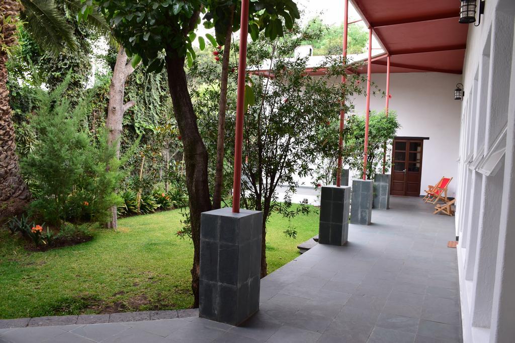 فندق Coyoacanفي  La Casa De Las Magnolias المظهر الخارجي الصورة