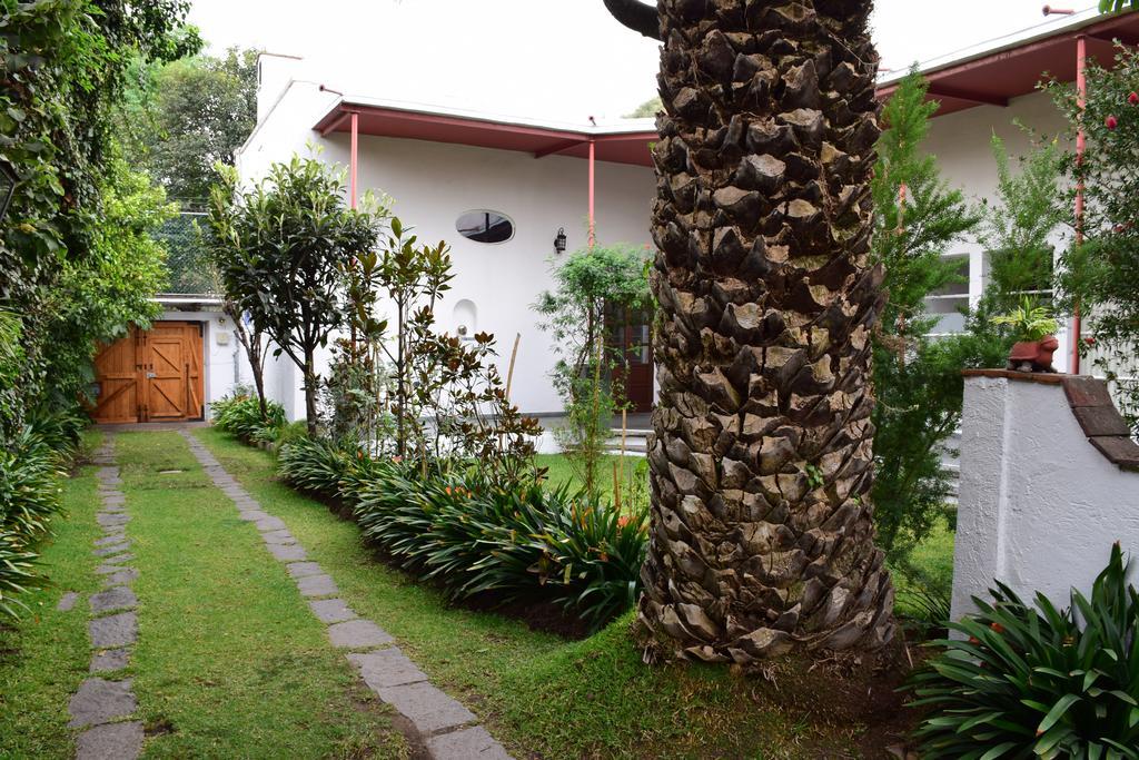 فندق Coyoacanفي  La Casa De Las Magnolias المظهر الخارجي الصورة