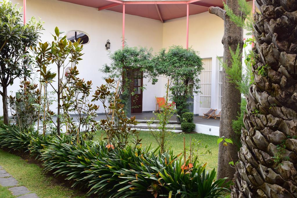 فندق Coyoacanفي  La Casa De Las Magnolias المظهر الخارجي الصورة