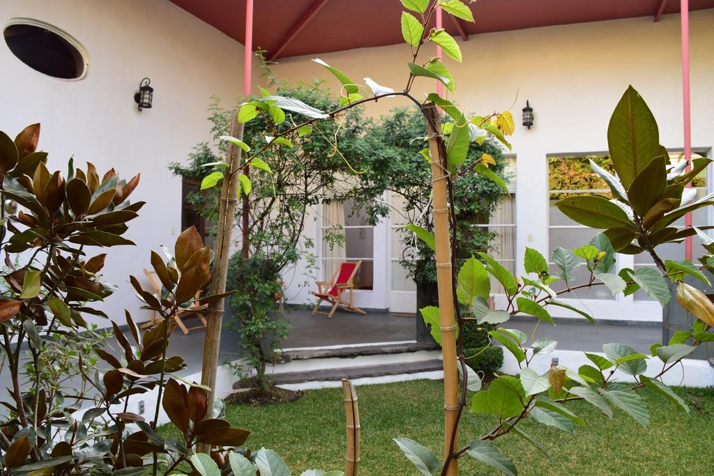 فندق Coyoacanفي  La Casa De Las Magnolias المظهر الخارجي الصورة