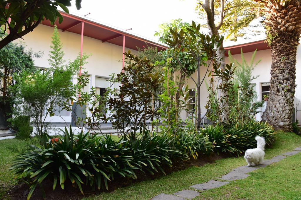 فندق Coyoacanفي  La Casa De Las Magnolias المظهر الخارجي الصورة
