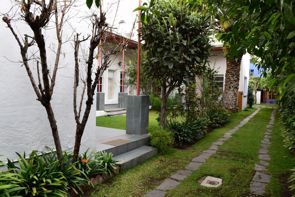 فندق Coyoacanفي  La Casa De Las Magnolias المظهر الخارجي الصورة